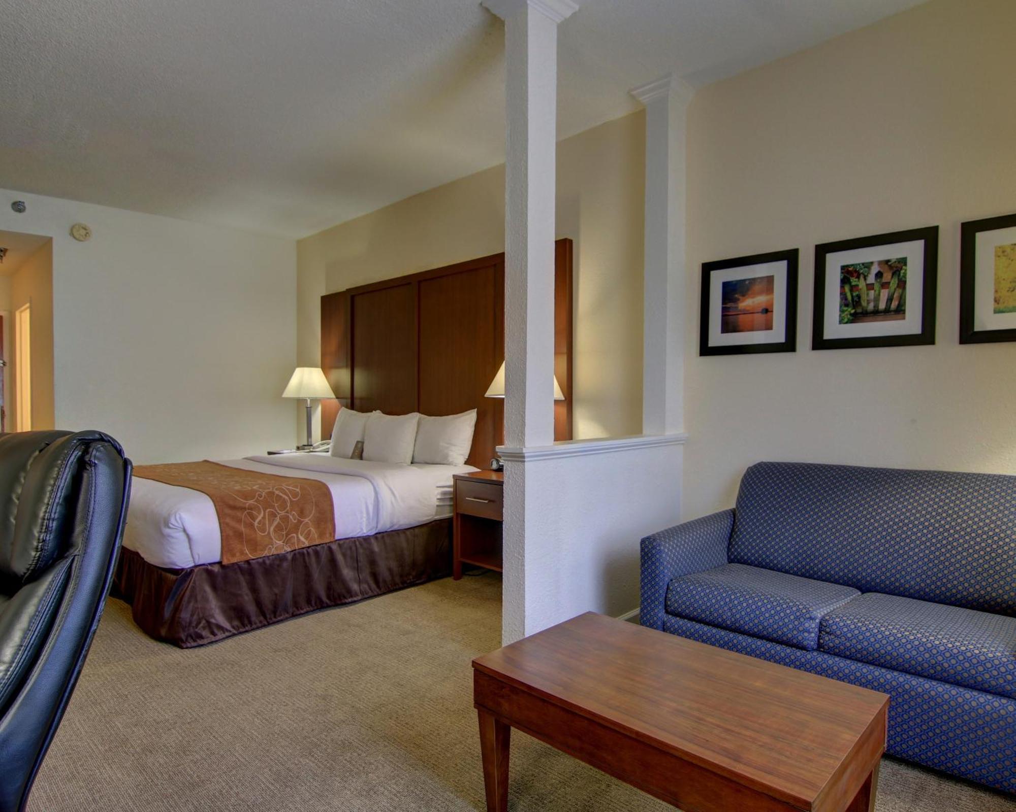 Comfort Suites Cumming-Atlanta Near Northside Hospital Forsyth Habitación foto